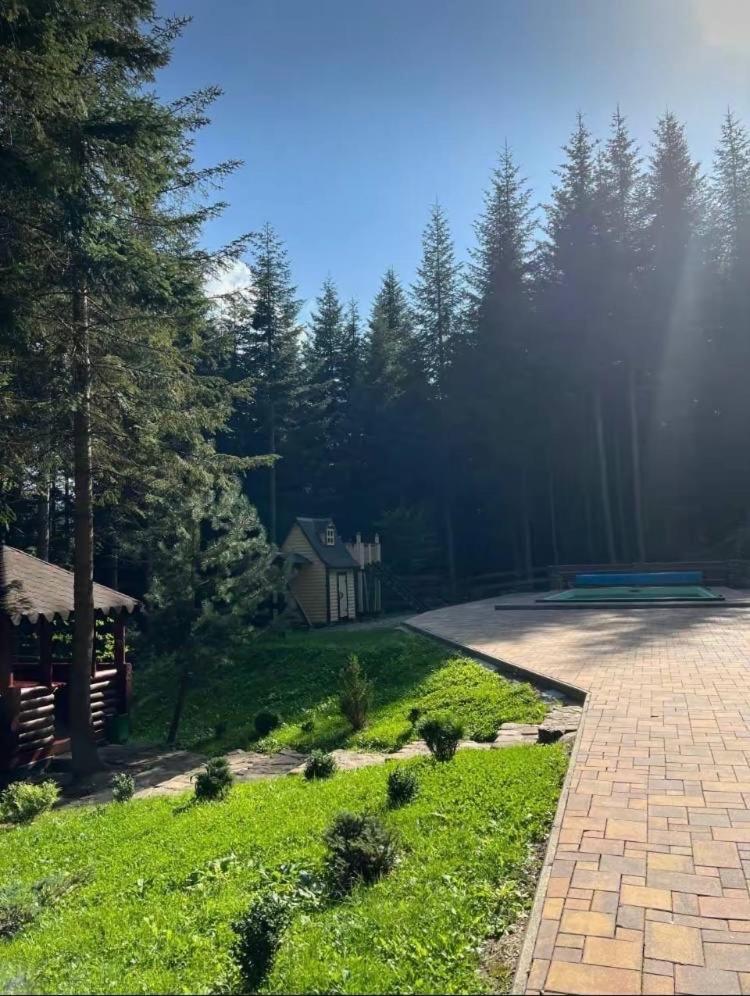 Ялинка Vila Myhove Exterior foto