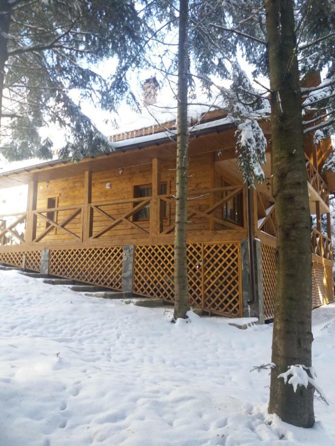 Ялинка Vila Myhove Exterior foto