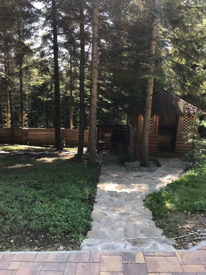 Ялинка Vila Myhove Exterior foto